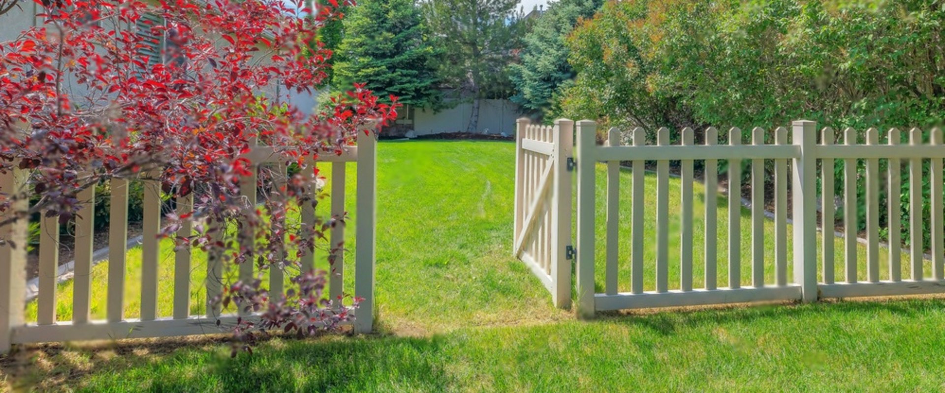 Maximizing Space with Fencing Solutions in Tauranga Gardens