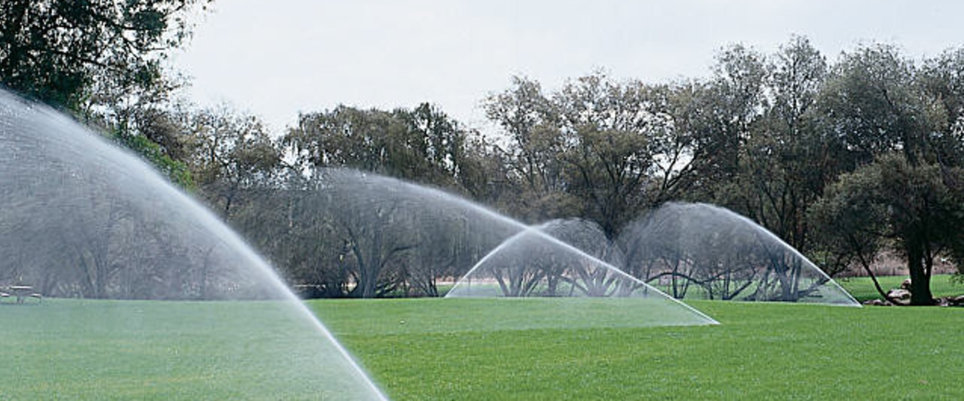 Landscaping Wellington: The Importance of Drainage and Irrigation