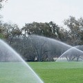 Landscaping Wellington: The Importance of Drainage and Irrigation